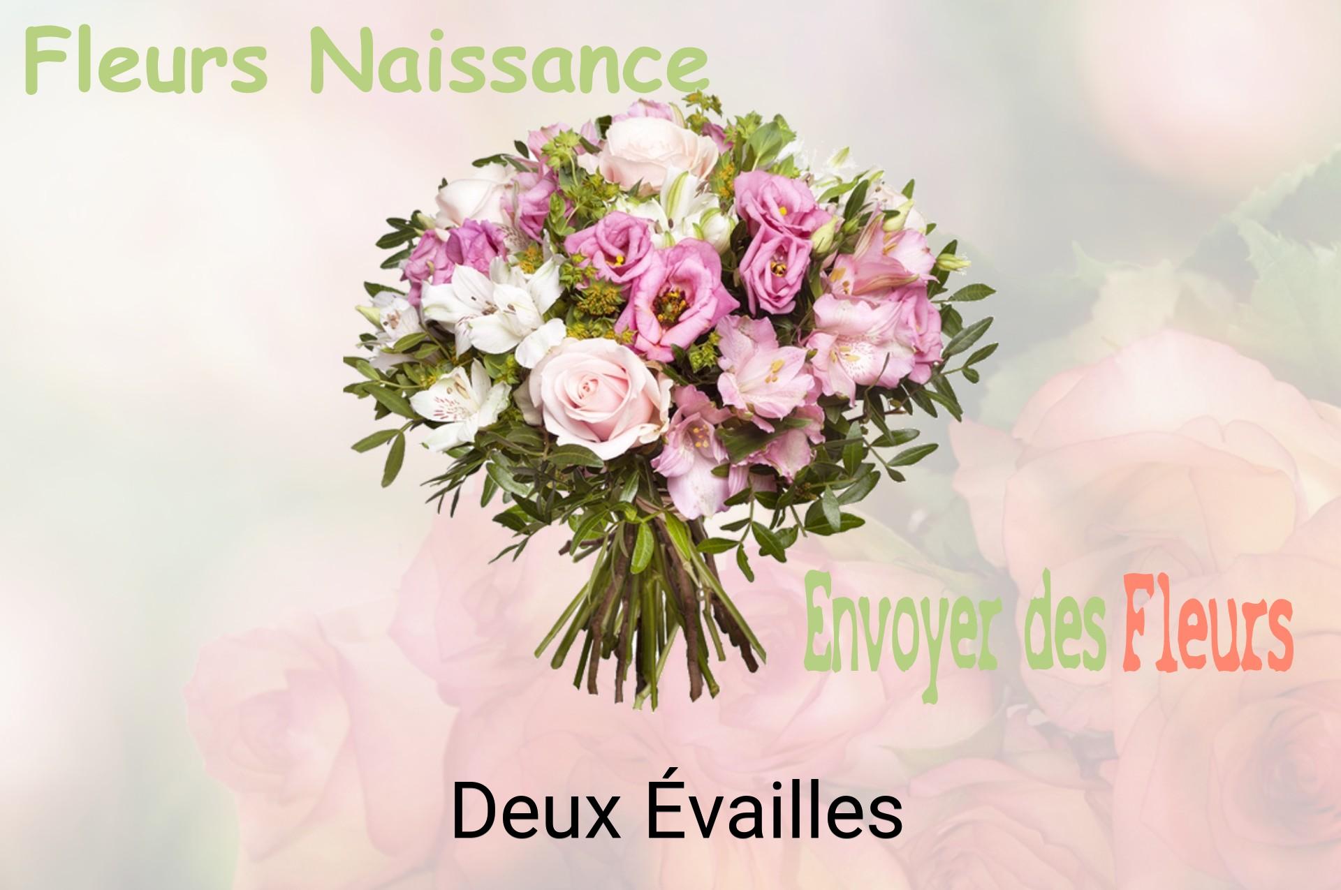 Bouquet de fleurs de naissance livré à Deux-Évailles